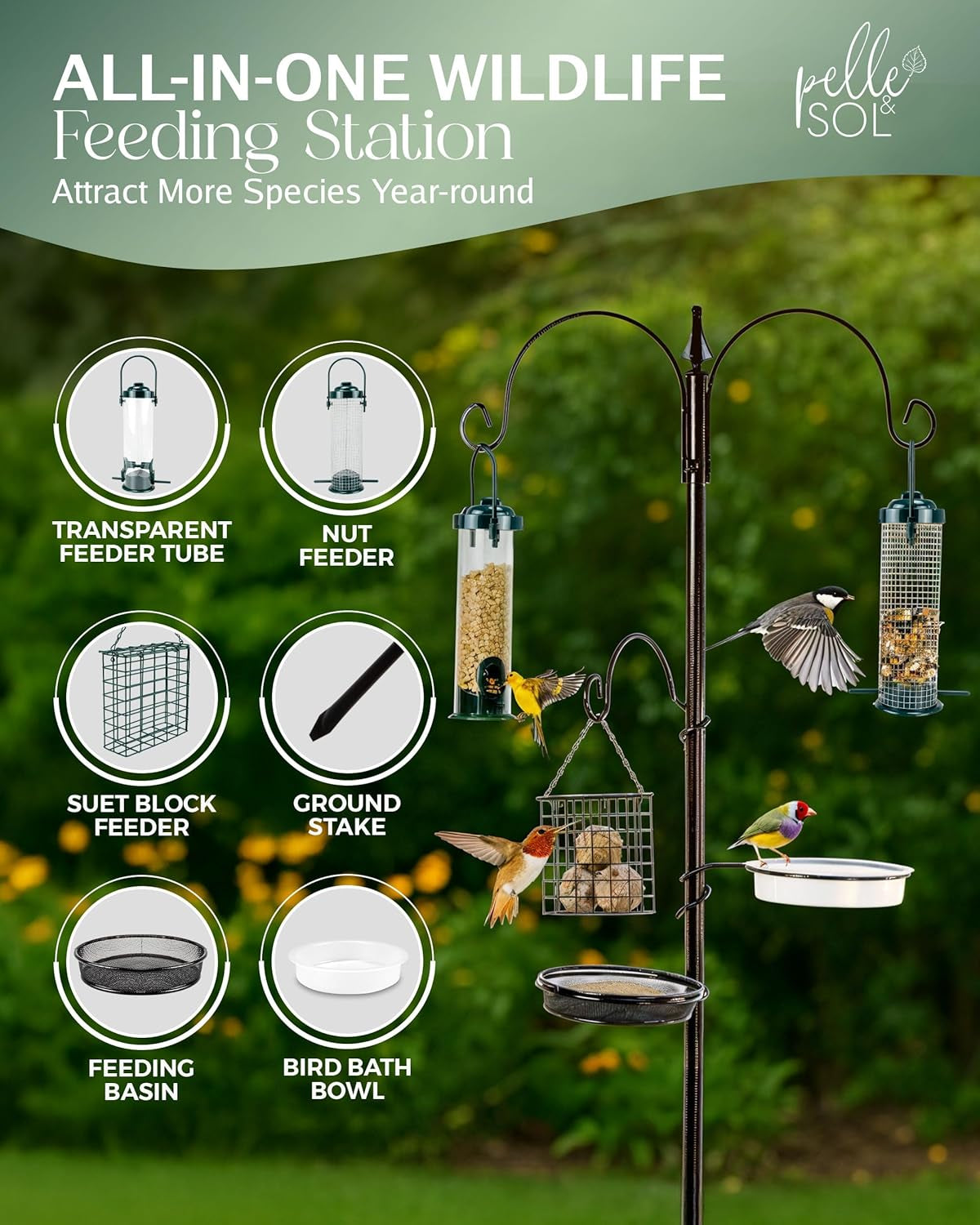 Bird Feeder with 3 Feeders & 2 Dishes | Bird Feeders Hanging Station, Bird Feeding Stations for the Garden, Bird Feeders for Small Birds
