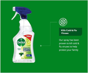 Antibacterial Surface Cleaning Spray, Lime and Mint, 750 Ml (Pack of 1) (Packaging May Vary)