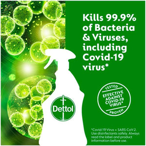 Antibacterial Surface Cleaning Spray, Lime and Mint, 750 Ml (Pack of 1) (Packaging May Vary)