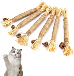 6Pcs Natural Matatabi Silvervine Chew Sticks for Indoor Cat Teeth Cleaning, Stress Release Toy for Dental Care and Kitten Teething