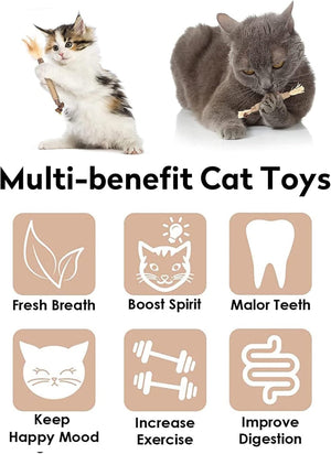 6Pcs Natural Matatabi Silvervine Chew Sticks for Indoor Cat Teeth Cleaning, Stress Release Toy for Dental Care and Kitten Teething