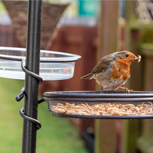Bird Feeder with 3 Feeders & 2 Dishes | Bird Feeders Hanging Station, Bird Feeding Stations for the Garden, Bird Feeders for Small Birds