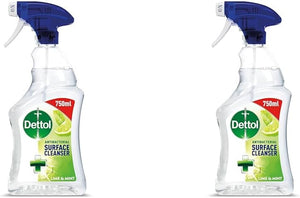 Antibacterial Surface Cleaning Spray, Lime and Mint, 750 Ml (Pack of 1) (Packaging May Vary)