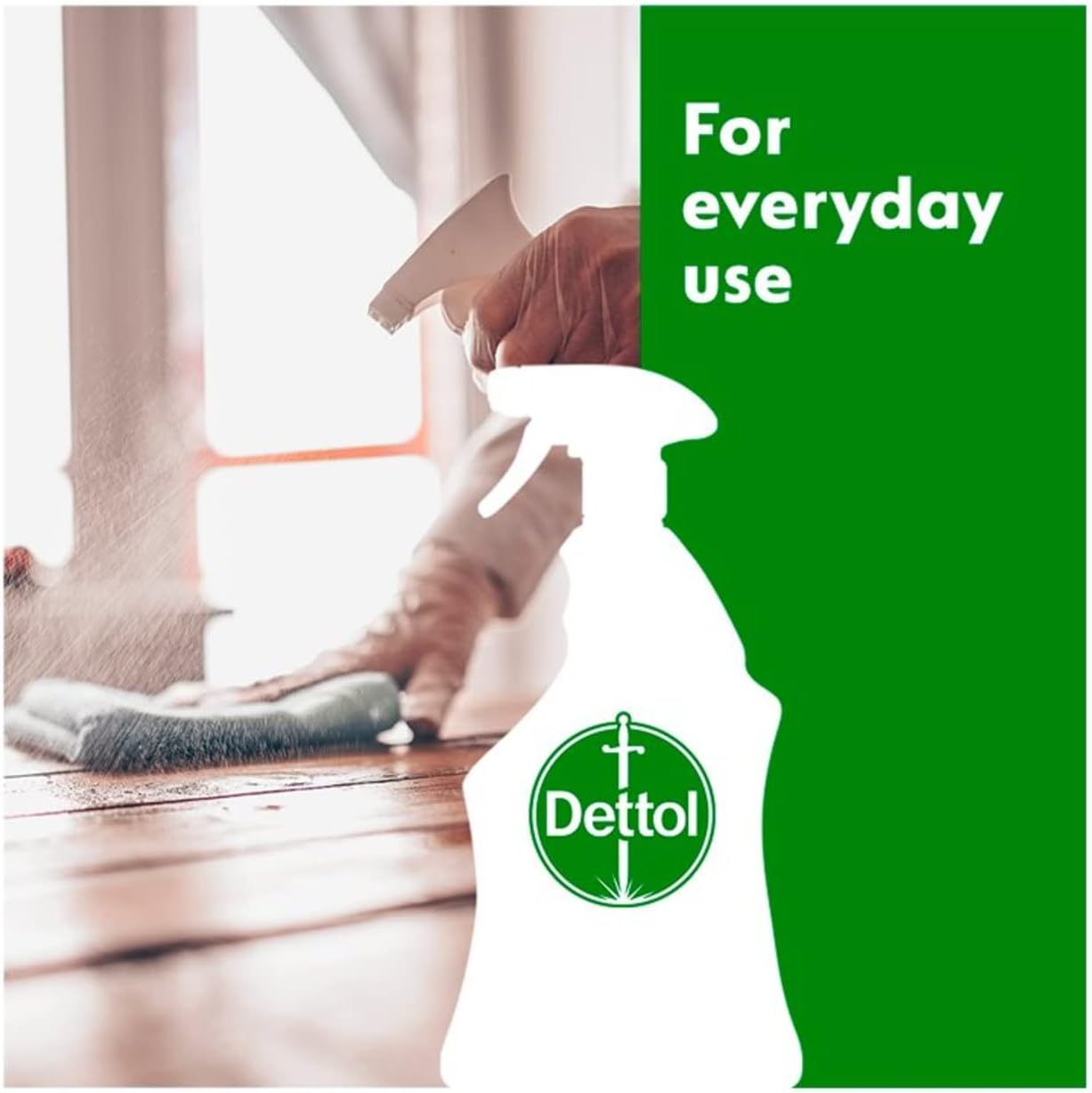 Antibacterial Surface Cleaning Spray, Lime and Mint, 750 Ml (Pack of 1) (Packaging May Vary)