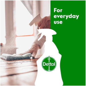 Antibacterial Surface Cleaning Spray, Lime and Mint, 750 Ml (Pack of 1) (Packaging May Vary)