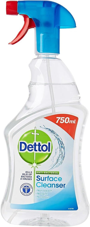 Antibacterial Surface Cleaning Spray, Lime and Mint, 750 Ml (Pack of 1) (Packaging May Vary)