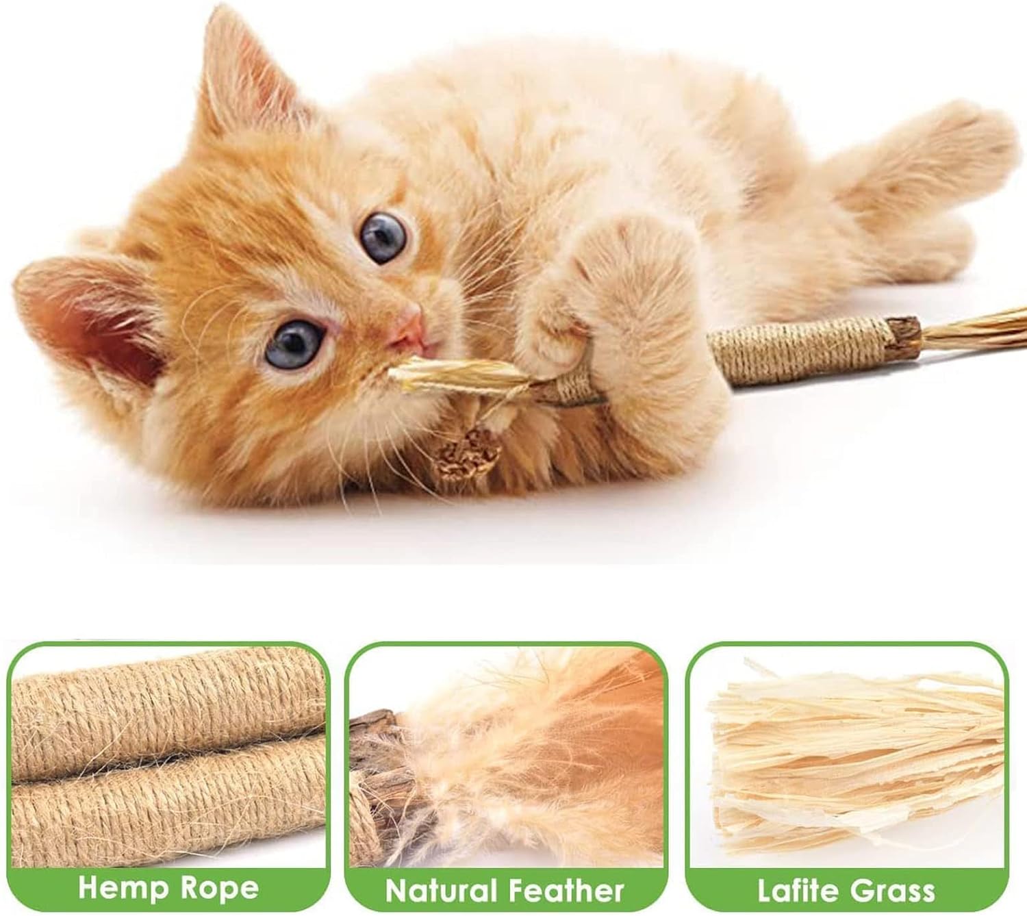 6Pcs Natural Matatabi Silvervine Chew Sticks for Indoor Cat Teeth Cleaning, Stress Release Toy for Dental Care and Kitten Teething