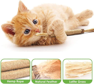 6Pcs Natural Matatabi Silvervine Chew Sticks for Indoor Cat Teeth Cleaning, Stress Release Toy for Dental Care and Kitten Teething