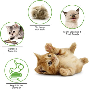 6Pcs Natural Matatabi Silvervine Chew Sticks for Indoor Cat Teeth Cleaning, Stress Release Toy for Dental Care and Kitten Teething