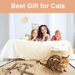 6Pcs Natural Matatabi Silvervine Chew Sticks for Indoor Cat Teeth Cleaning, Stress Release Toy for Dental Care and Kitten Teething