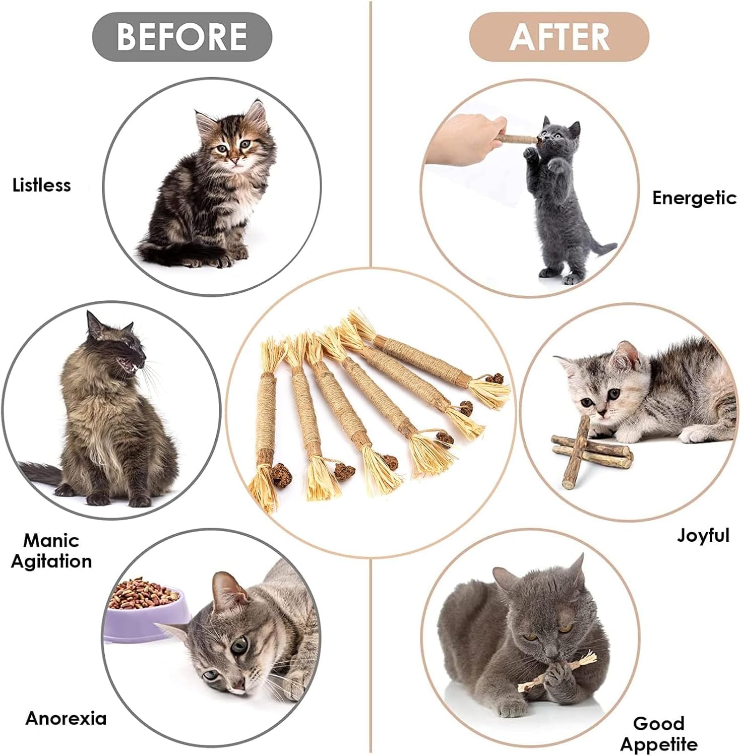 6Pcs Natural Matatabi Silvervine Chew Sticks for Indoor Cat Teeth Cleaning, Stress Release Toy for Dental Care and Kitten Teething