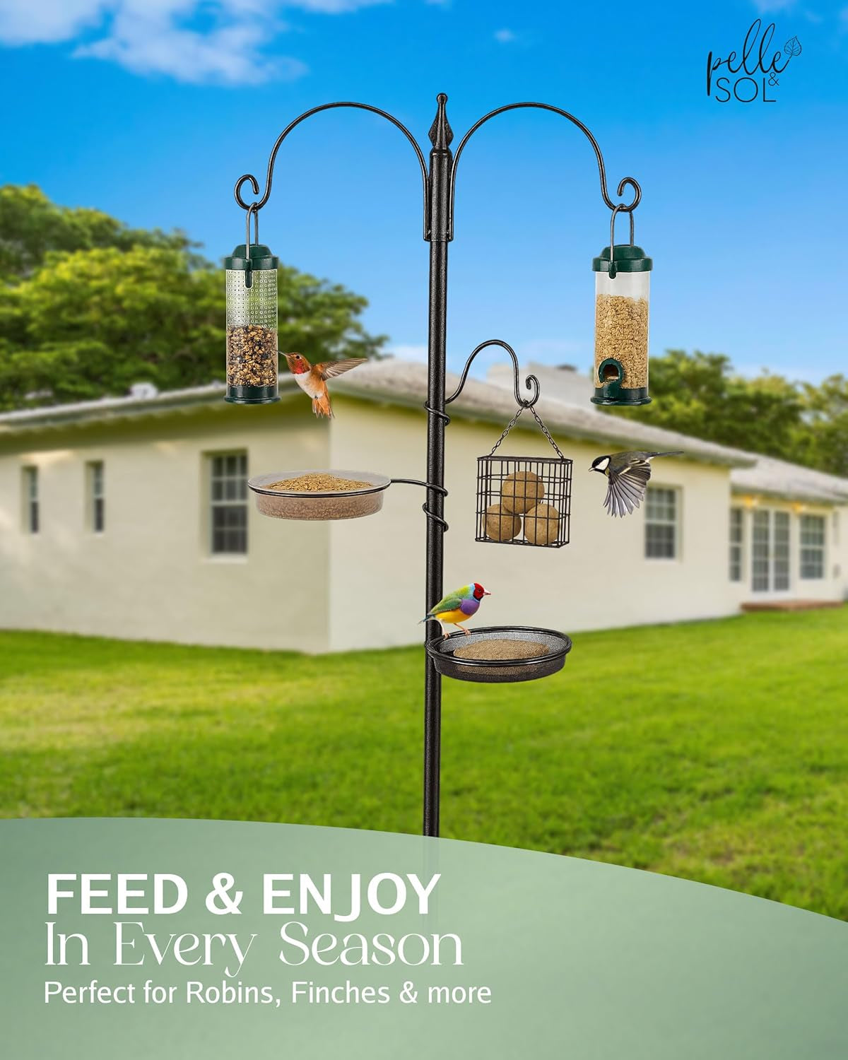 Bird Feeder with 3 Feeders & 2 Dishes | Bird Feeders Hanging Station, Bird Feeding Stations for the Garden, Bird Feeders for Small Birds